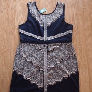Maurices Sheath‎ Dress with Lace Overlay